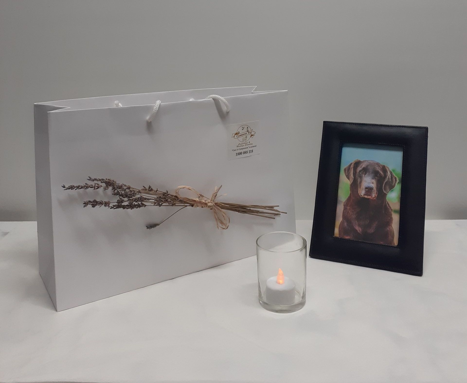 Picture of a Pet with Urn and Candle - Sydney, NSW - Compass Pet Heritage Cemetery & Crematorium Picture of a Pet with Urn and Candle - Sydney, NSW - Compass Pet Heritage Cemetery & Crematorium