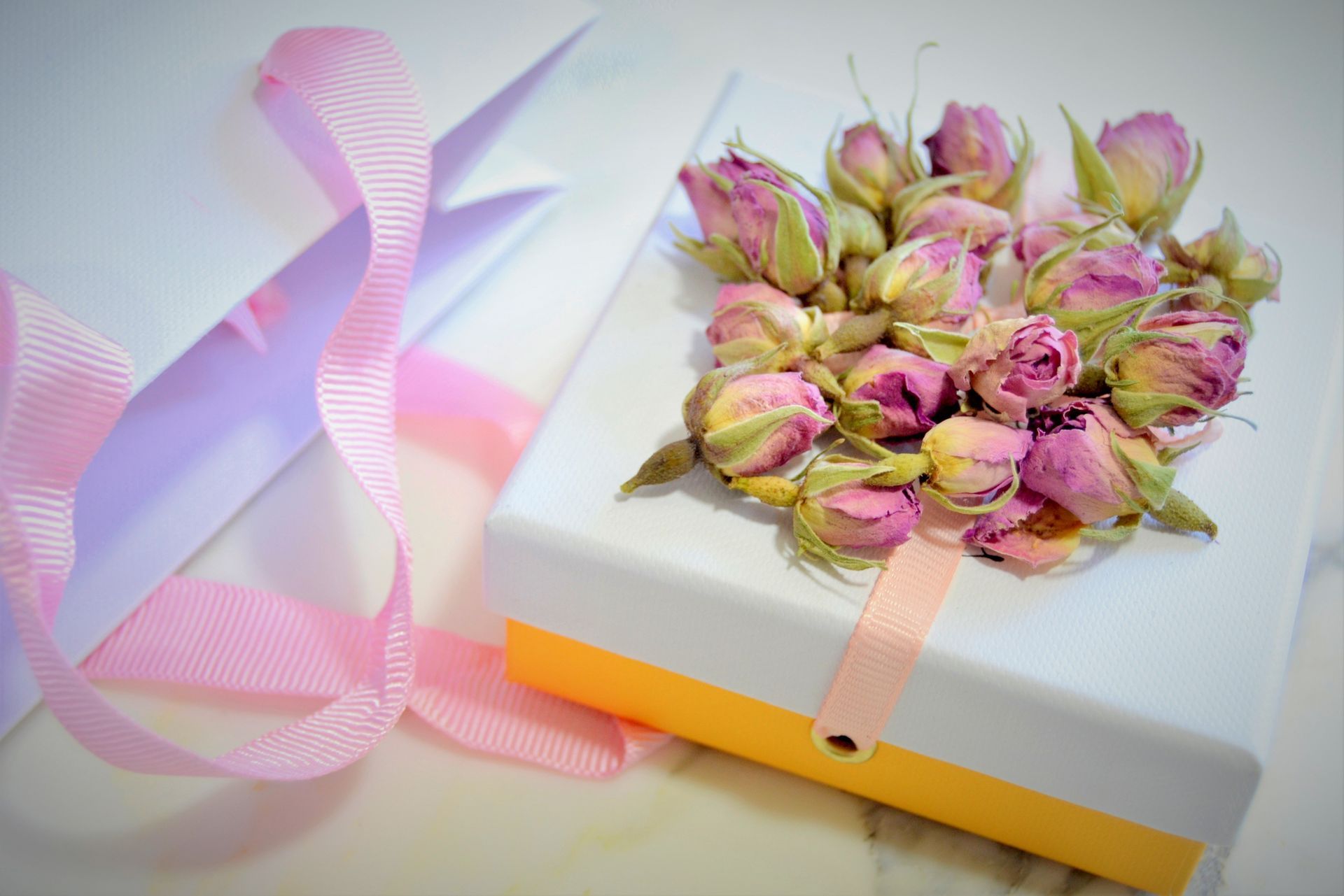 White Box with Pink Roses - Sydney, NSW - Compass Pet Heritage Cemetery & Crematorium