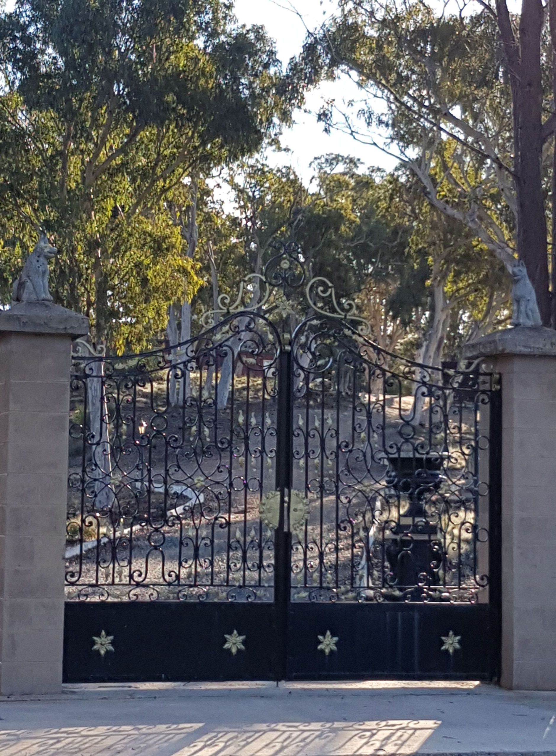 A Vase of Flowers in Cemetery - Sydney, NSW - Compass Pet Heritage Cemetery & Crematorium