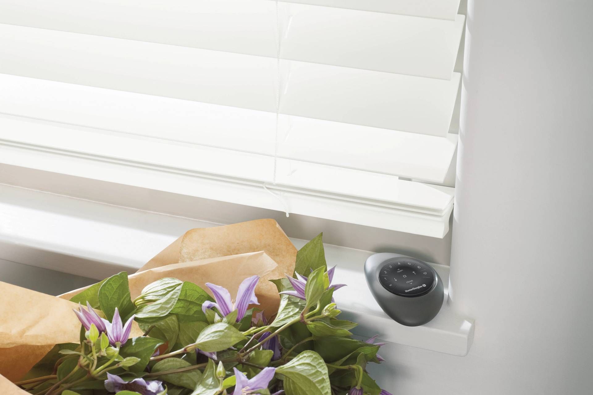 Hunter Douglas EverWood® Faux Wood Blinds near Wichita, Kansas