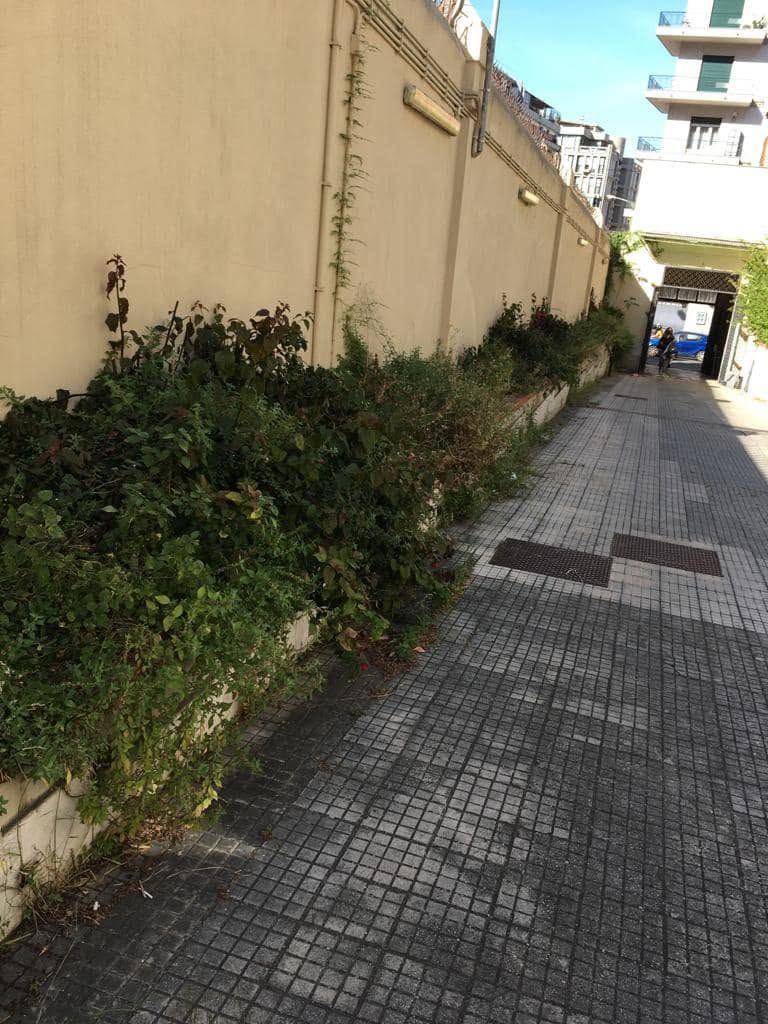 Stretto vicolo piastrellato accanto a un muro beige con cespugli incolti, che conduce a un'apertura stradale in lontananza.