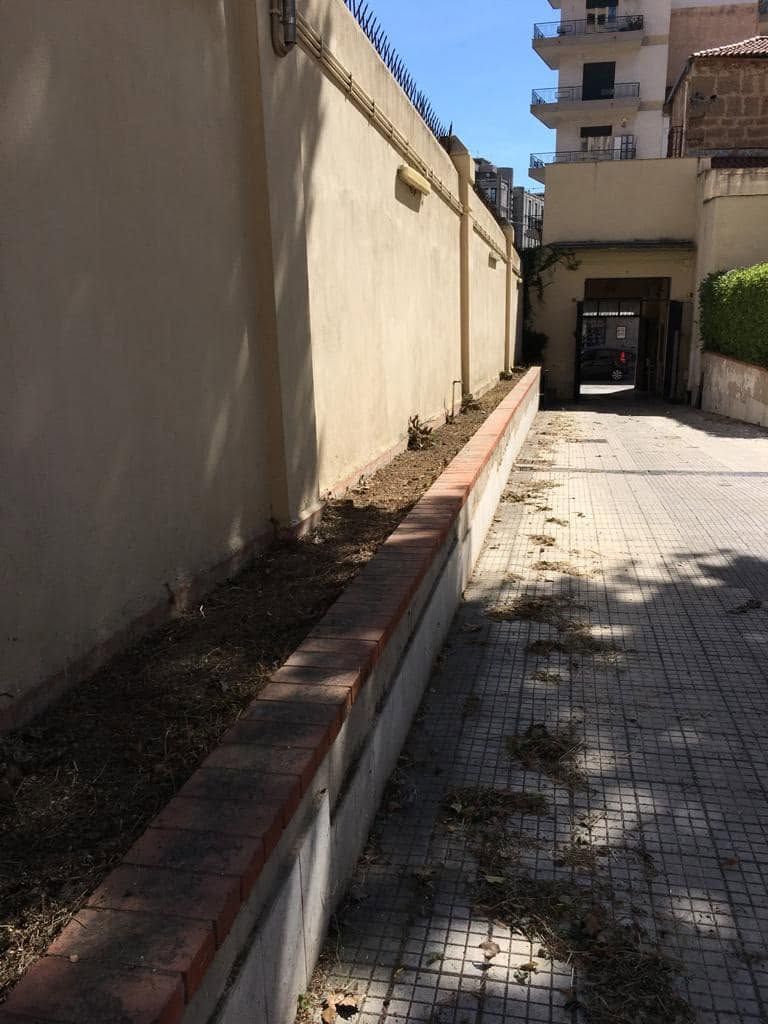 Passeggiata esterna soleggiata accanto a un alto muro beige e all'ingresso di un condominio.
