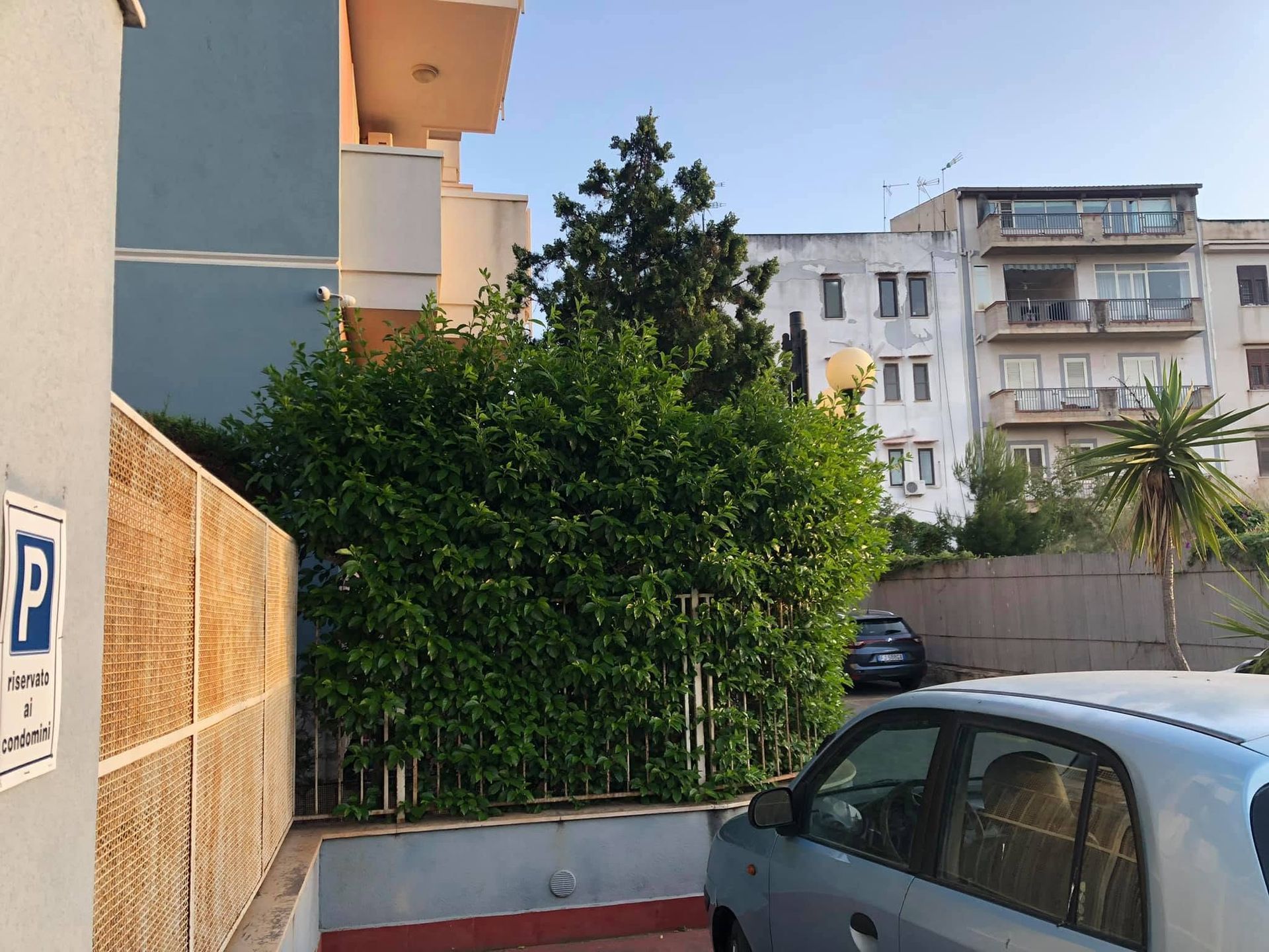 Cortile urbano con auto parcheggiate, arbusti verdi e palazzi residenziali sotto un cielo limpido