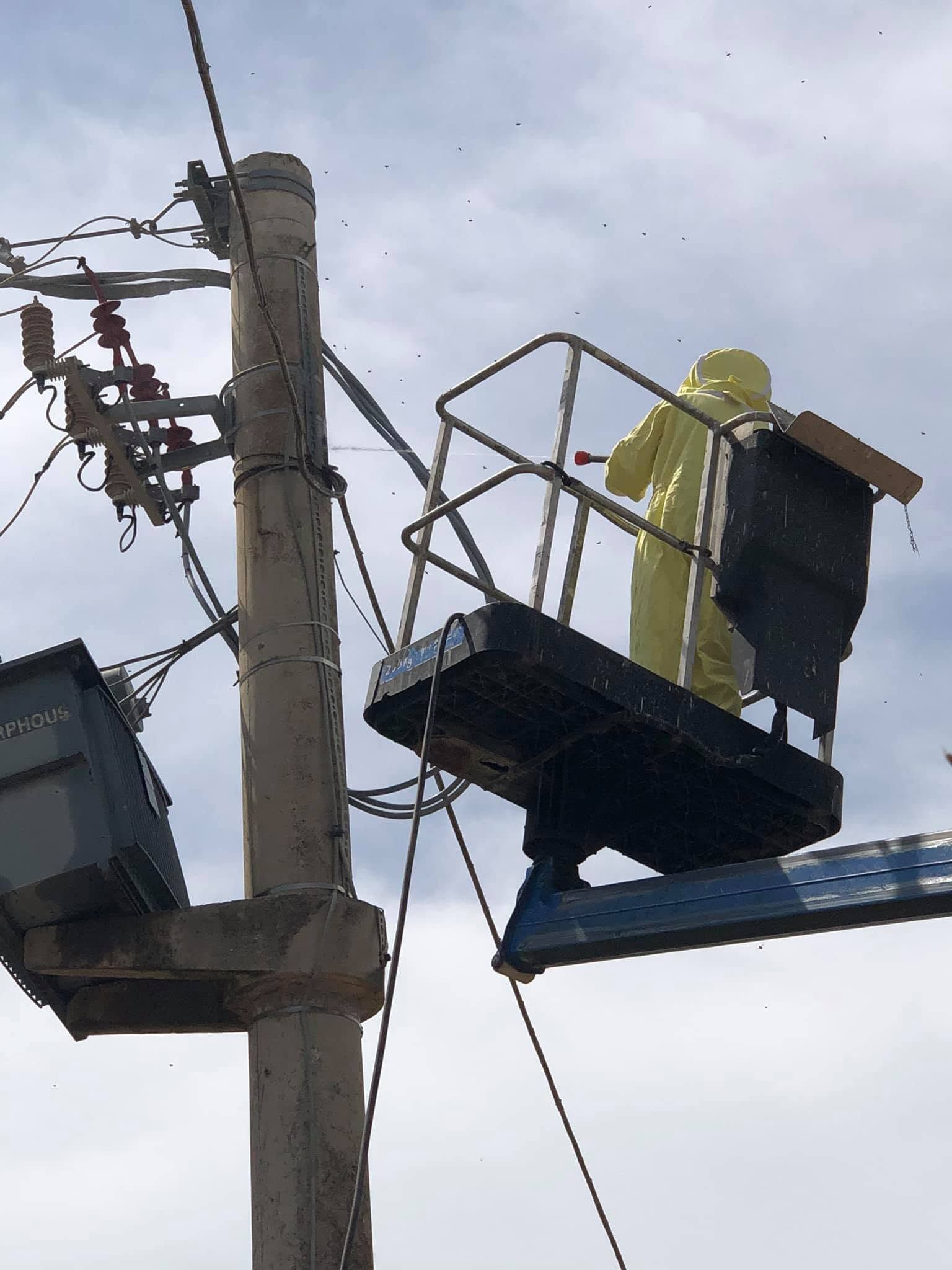 Un operaio di una società di servizi pubblici, con indosso un elmetto giallo, si trova su una piattaforma elevatrice accanto a un palo della luce e ai cavi aerei.