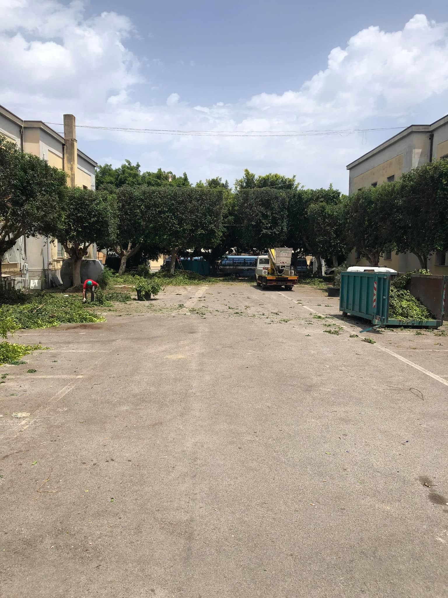 Un tranquillo cortile di un condominio con alberi, auto parcheggiate e un cestino della spazzatura sotto un cielo nuvoloso.