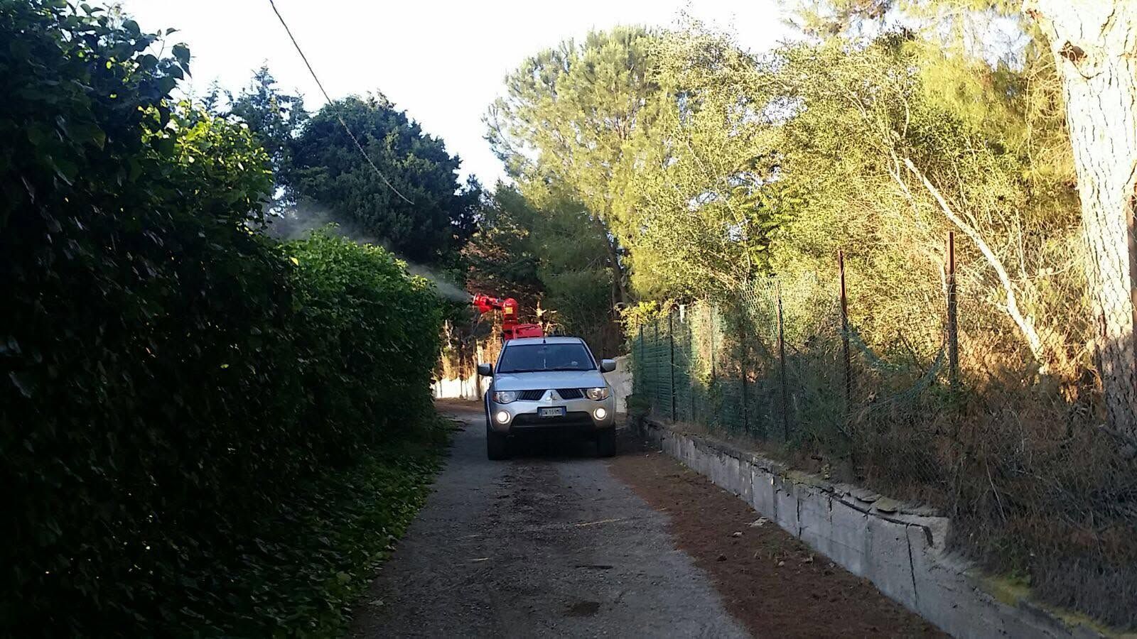 Camion bianco parcheggiato su una stretta strada sterrata accanto a fitte siepi verdi e alberi illuminati dal sole.