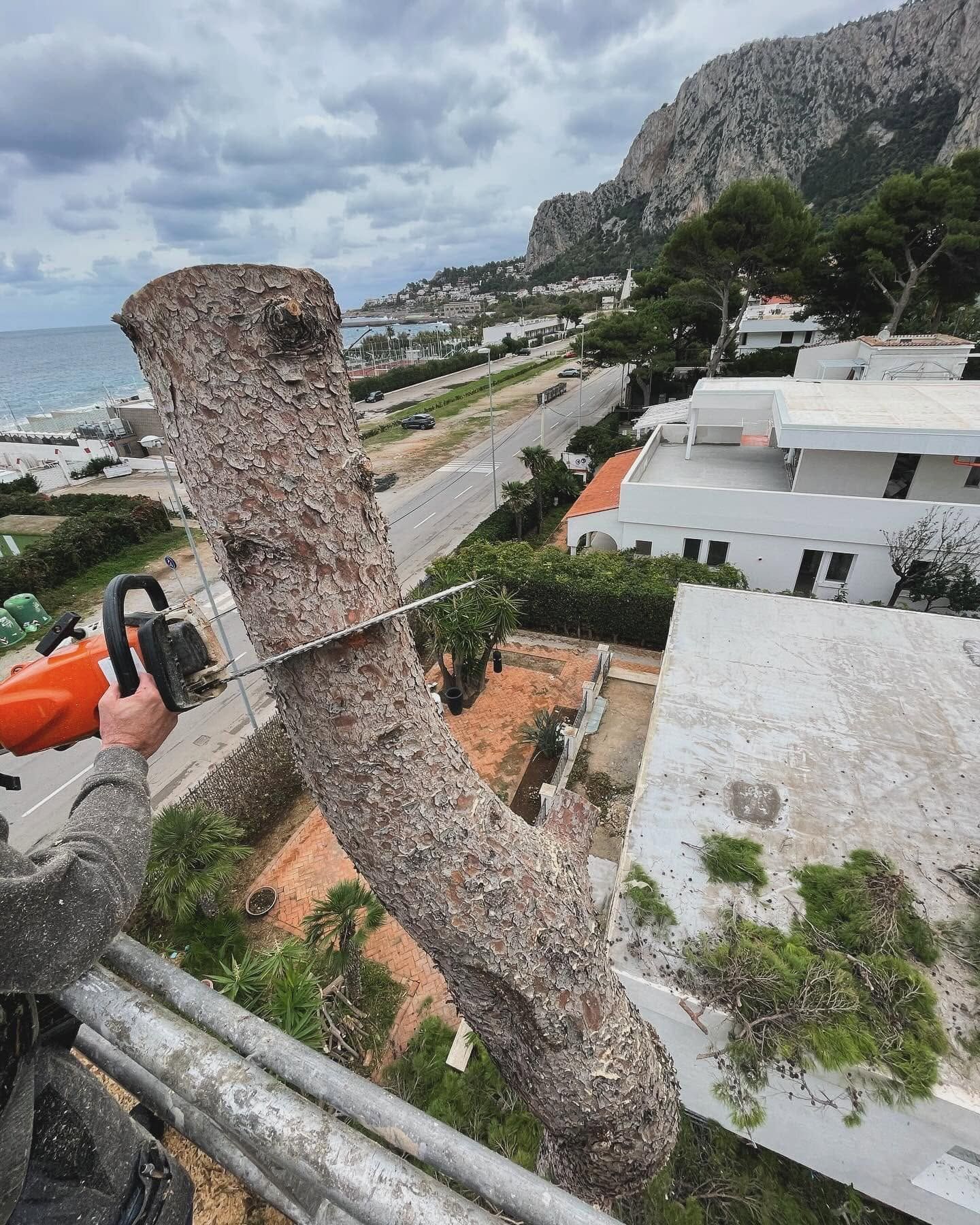 Una motosega taglia un grosso tronco d'albero a lato di una strada costiera, tra edifici bianchi, sotto un cielo nuvoloso.