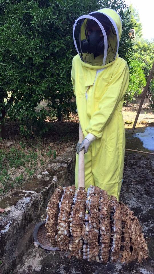 Una persona con una tuta da apicoltore gialla tiene in mano un telaio di favo all'aperto, vicino ad alcune arnie.