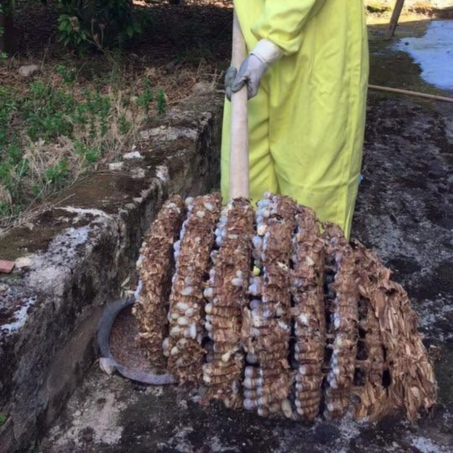 auto dell'azienda eco-system con macchinari per derattizzazione