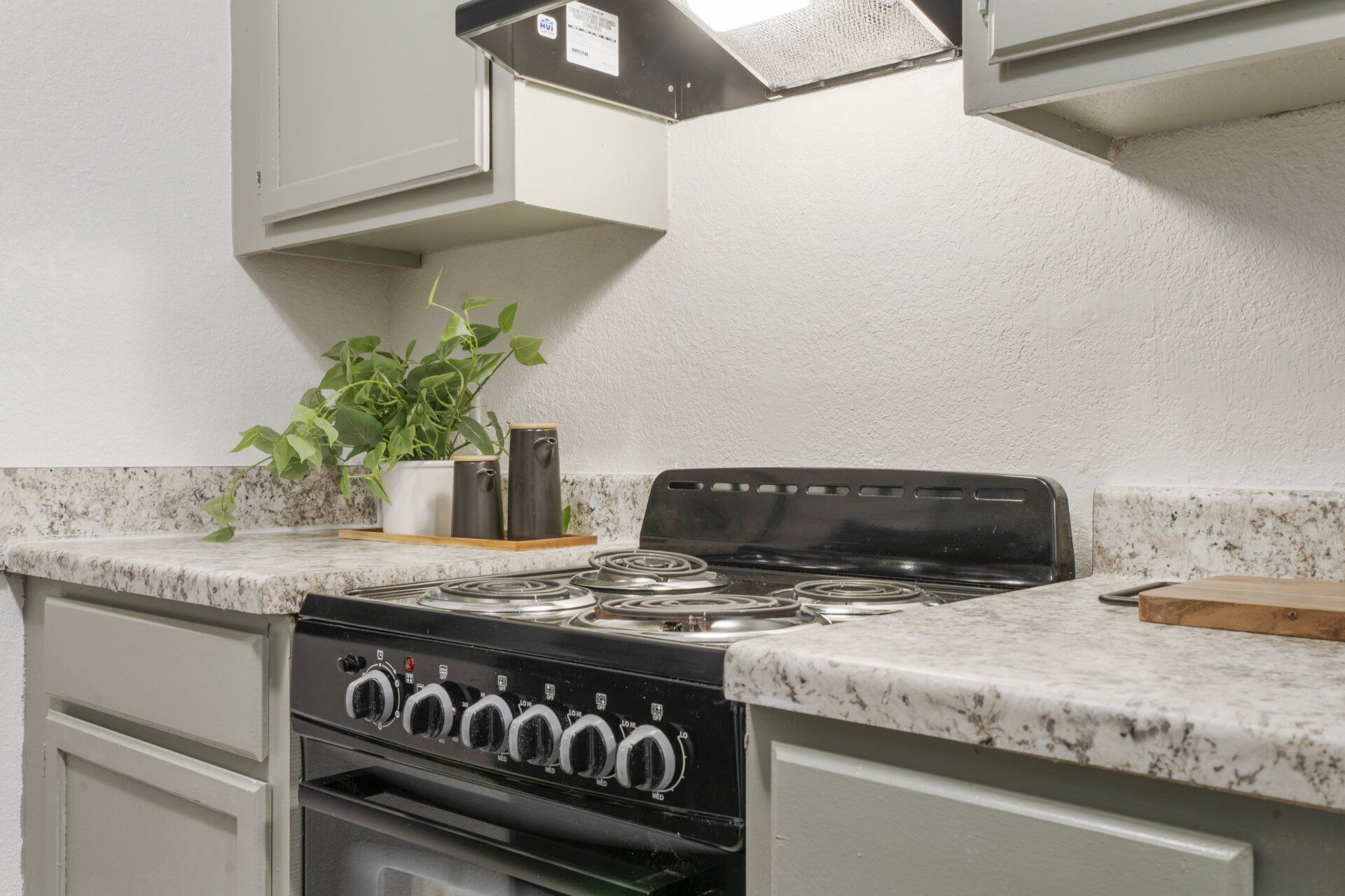 A kitchen with a stove and oven and a plant on the counter.