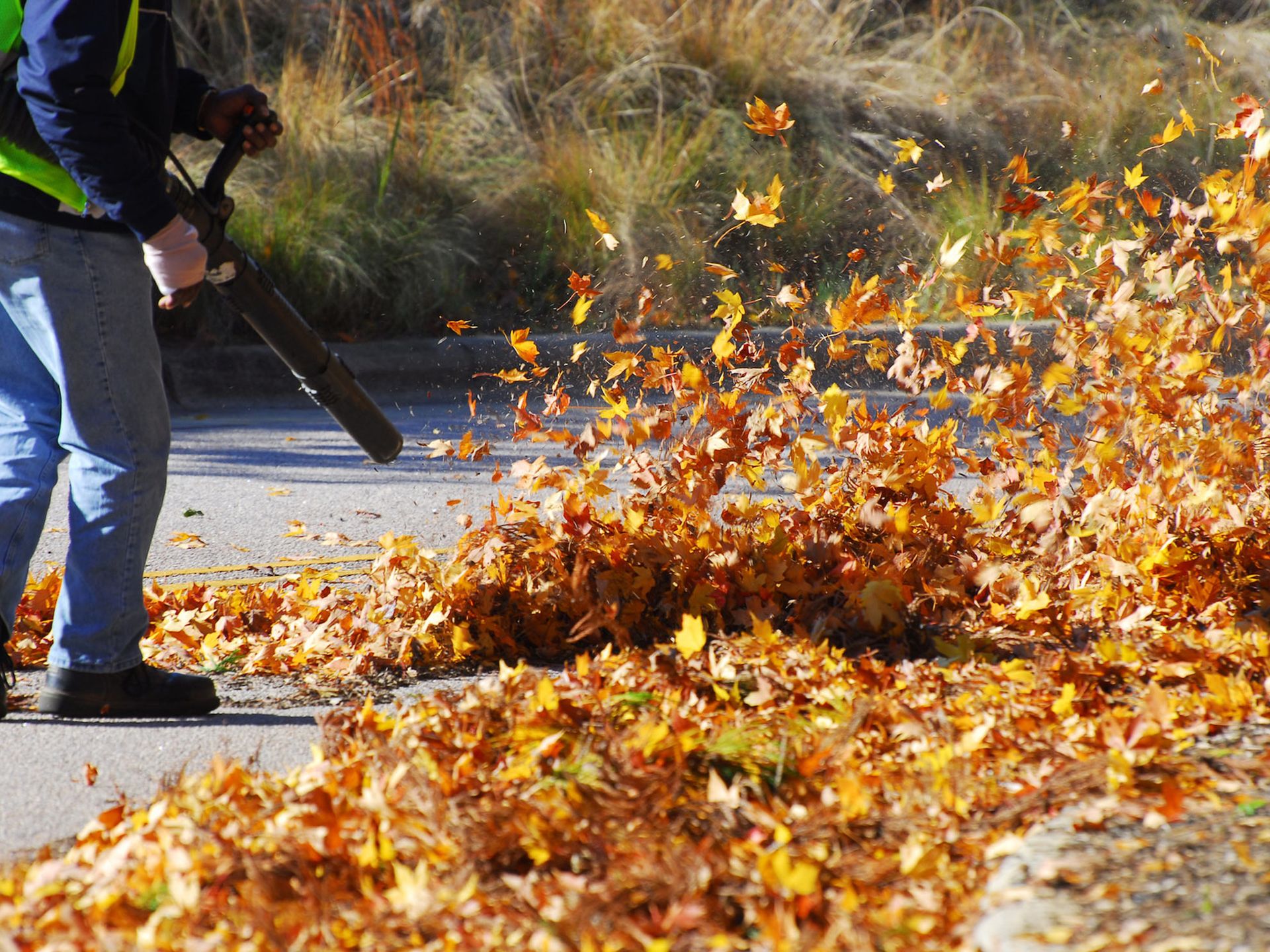 Person using leaf blower to move a pile of colorful autumn leaves on pavement.