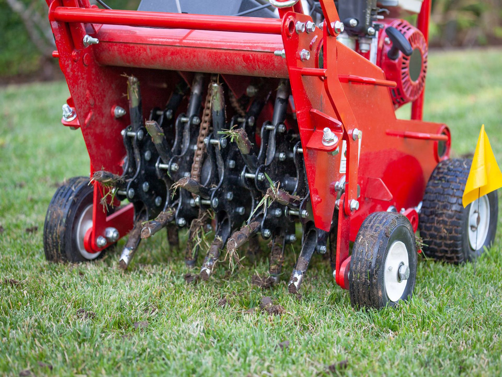 Red lawn aerator on a green lawn, removing soil plugs.