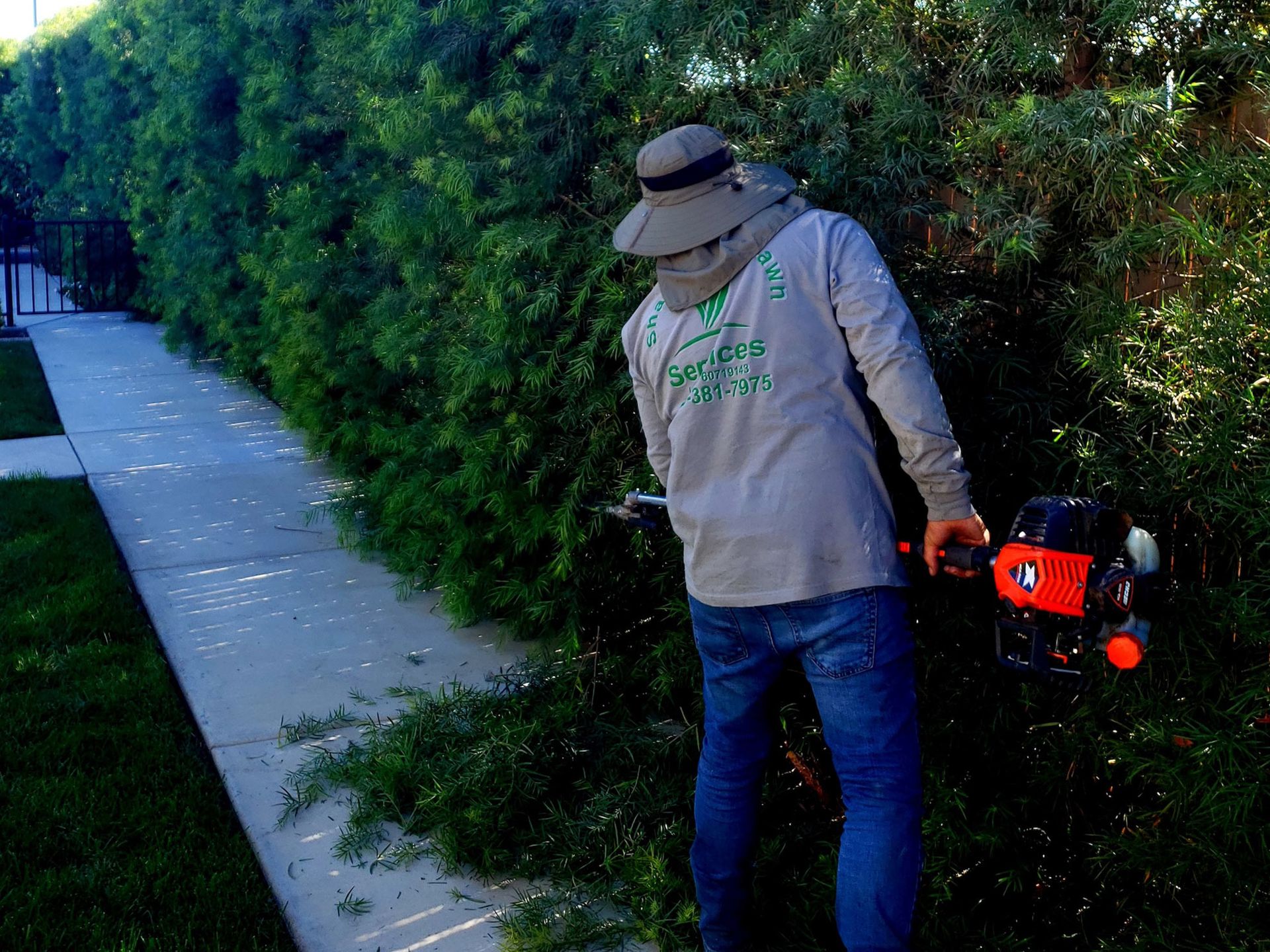 A person wearing a sun hat and long-sleeved shirt uses a hedge trimmer to prune a long green hedge beside a sidewalk.