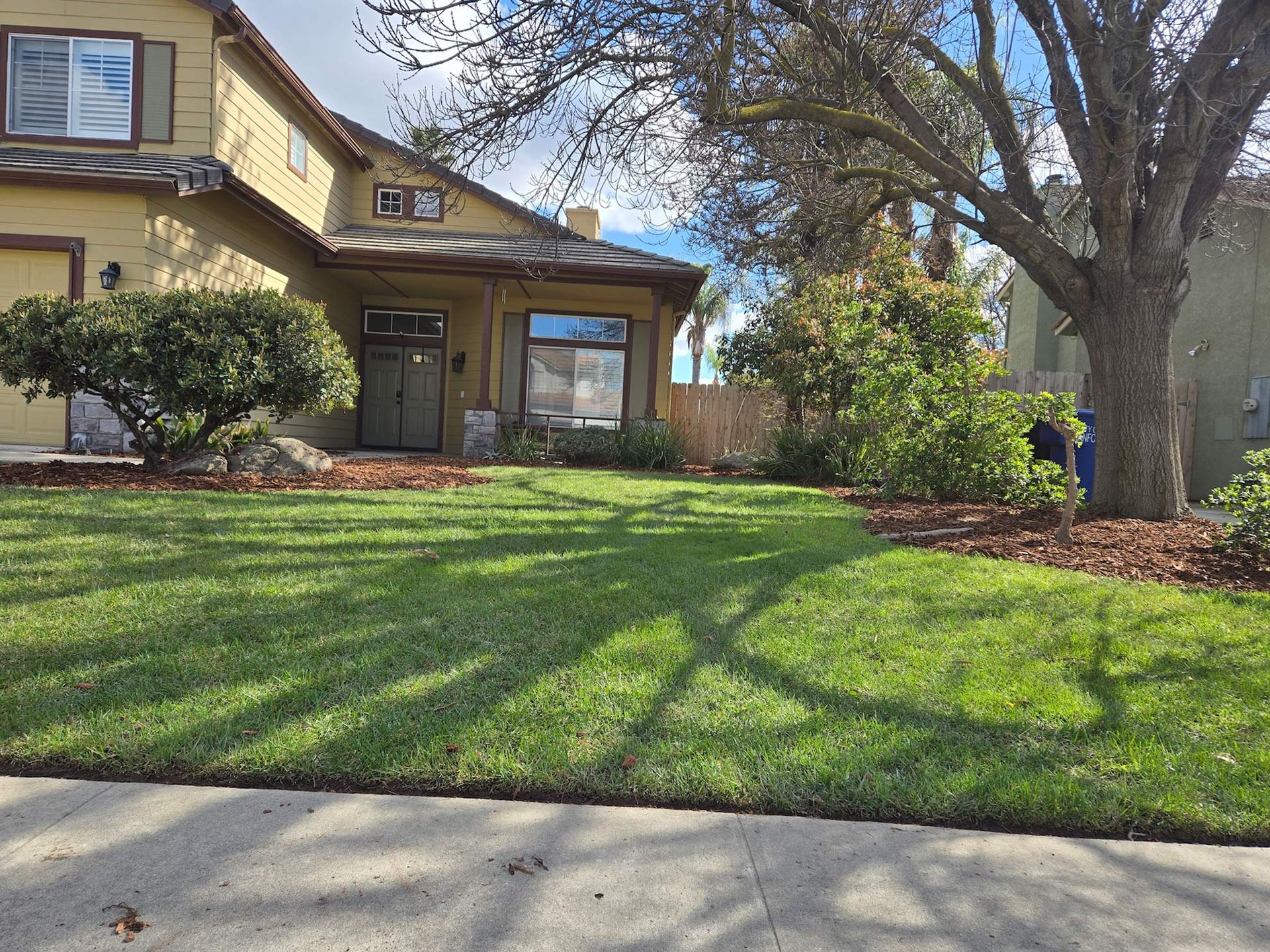 A two-story tan house with a dark roof and large front yard featuring a grassy lawn, a bush, and a large tree.