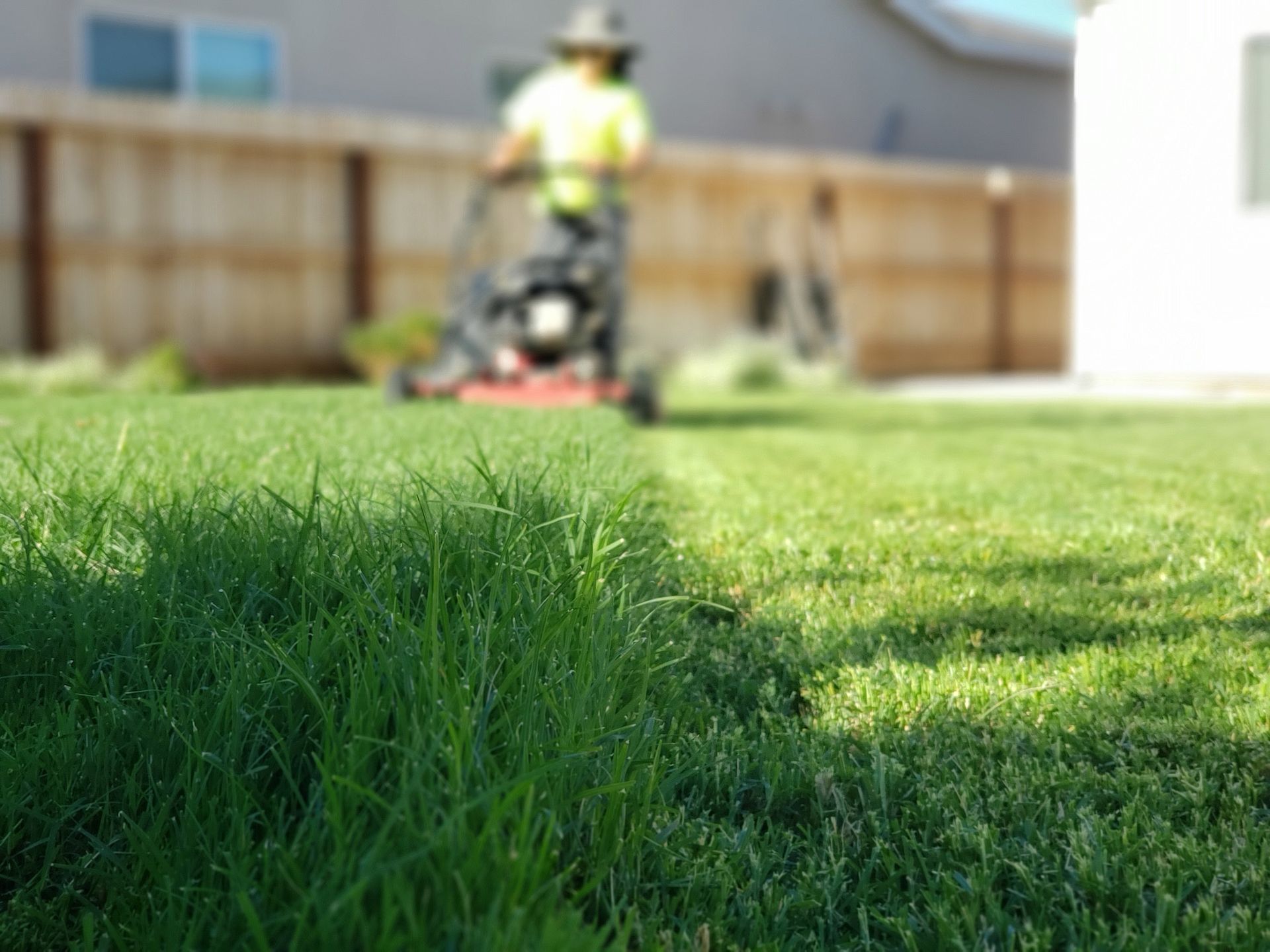 A person in a yellow shirt mows a lawn in a suburban backyard, seen from a low angle focusing on the grass line.