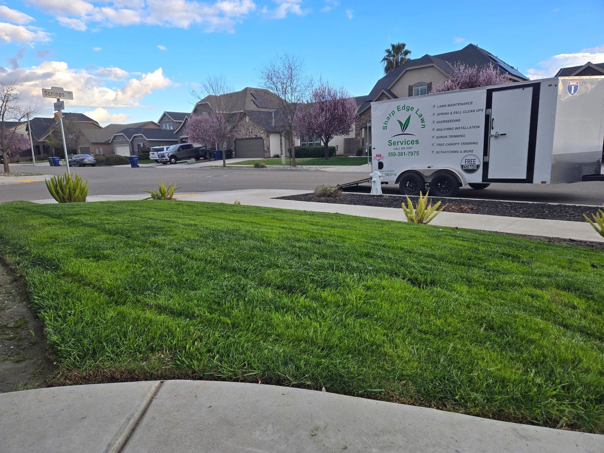 A white utility trailer parked on a residential street corner next to a green lawn with blooming trees under a blue sky.
