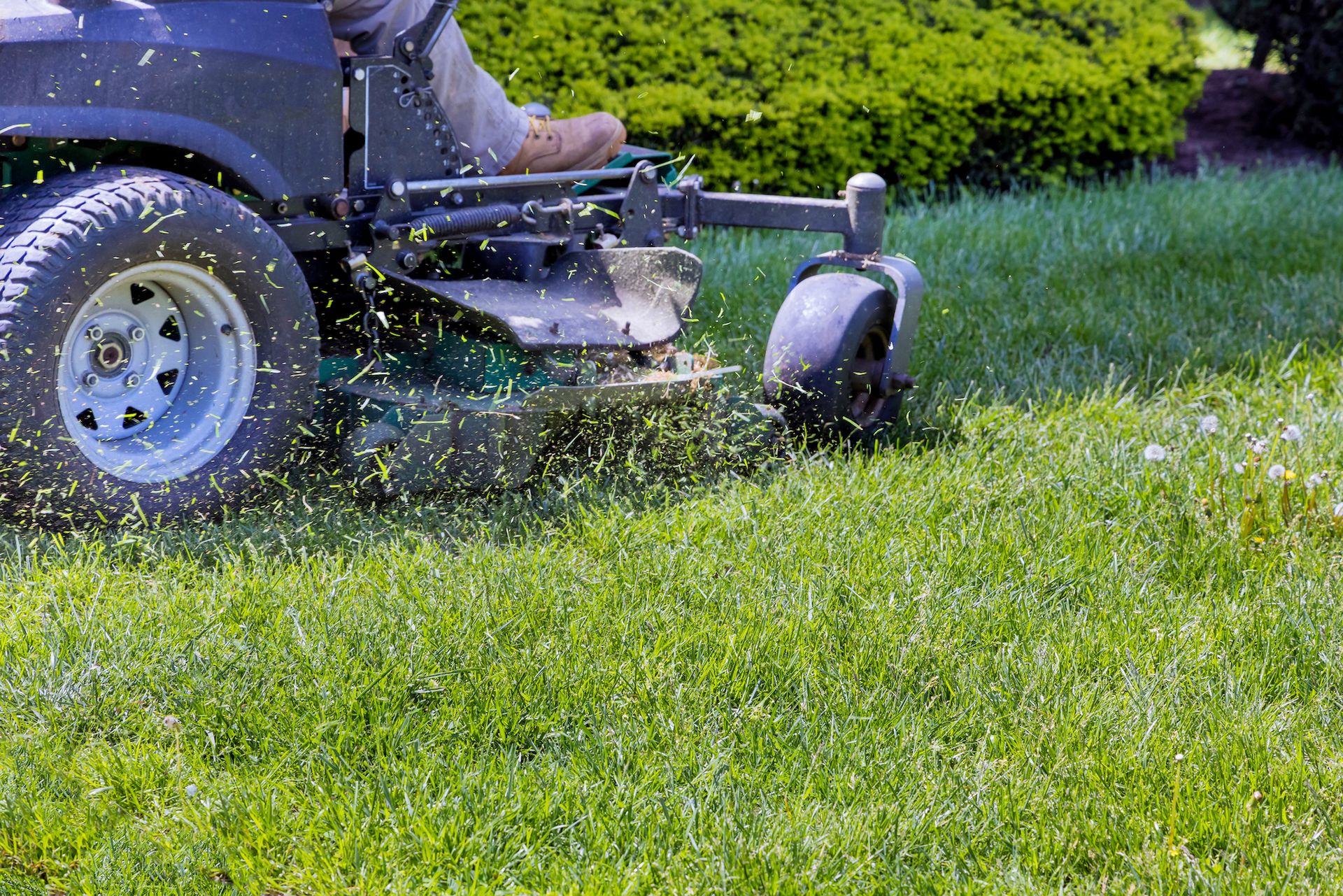 lawn mower cuts tall green grass in a yard, scattering clippings as it moves forward.