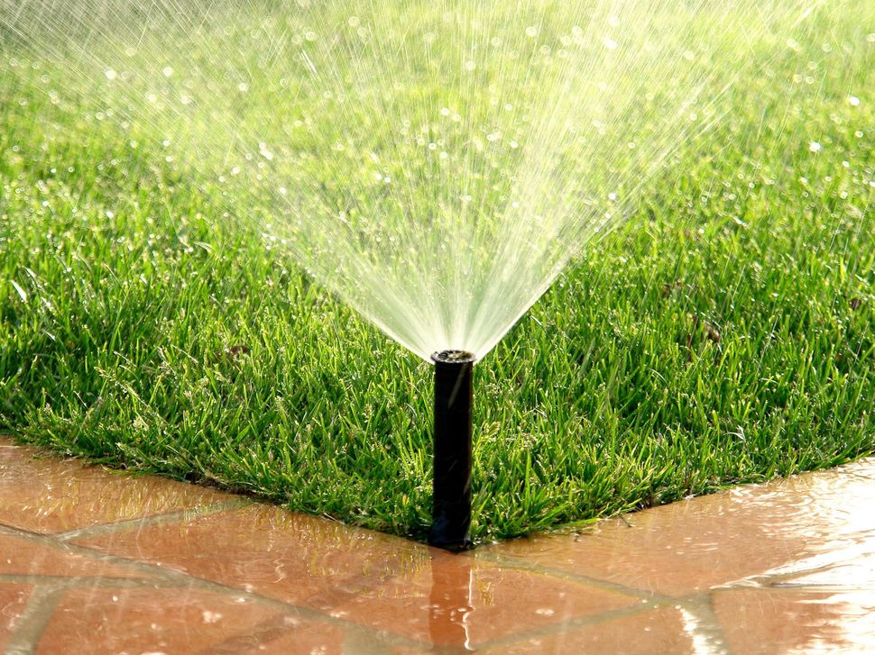 Sprinkler watering green grass lawn, with a brick paver border; water spraying.