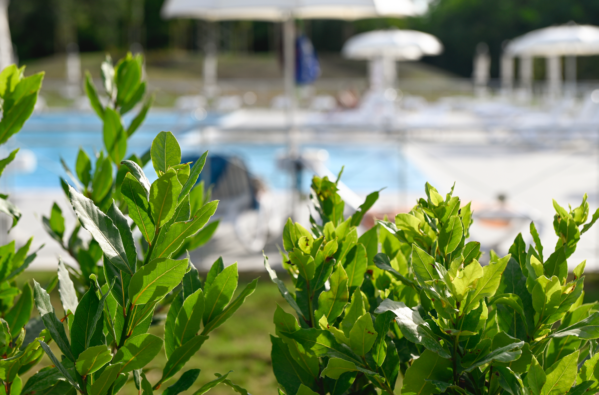 piscina