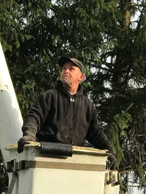 Man standing in a bucket lift, looking up among tall evergreen trees while holding equipment.