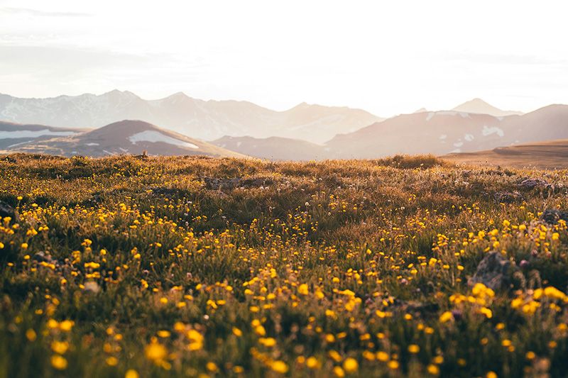 Nelson Funeral Home | Logan, UT