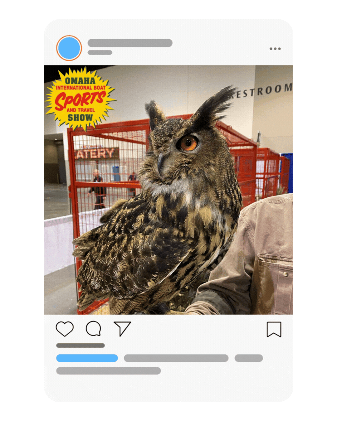 A great horned owl perched near a handler in a social media frame, with 