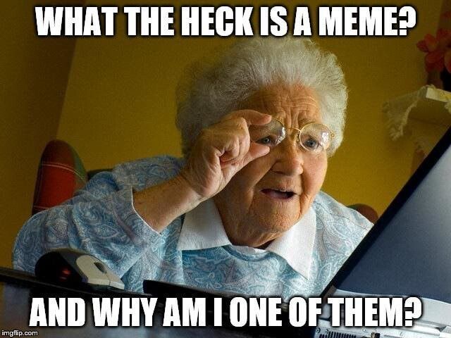 An elderly woman is looking at a laptop computer.