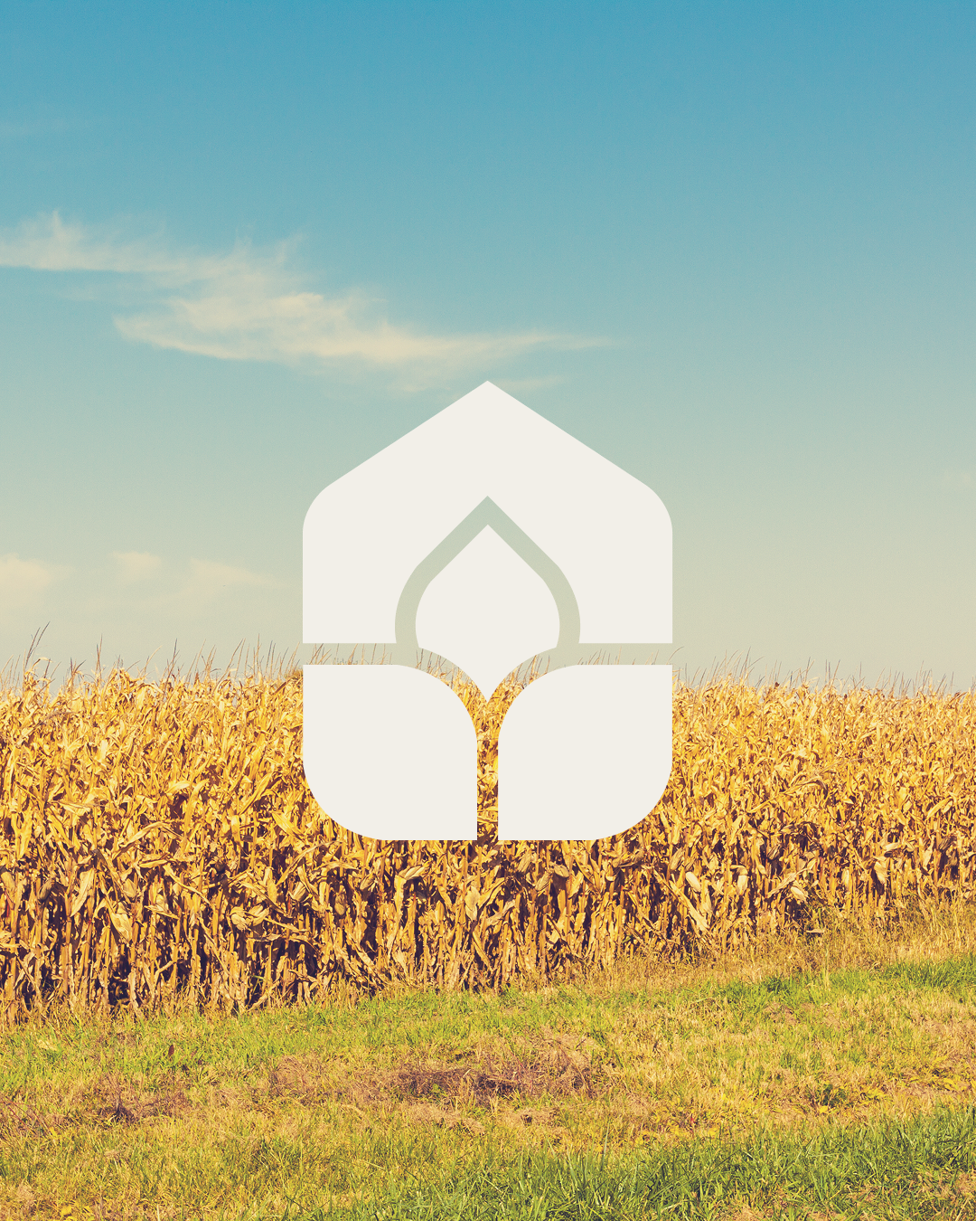 White logo over a golden cornfield under a blue sky
