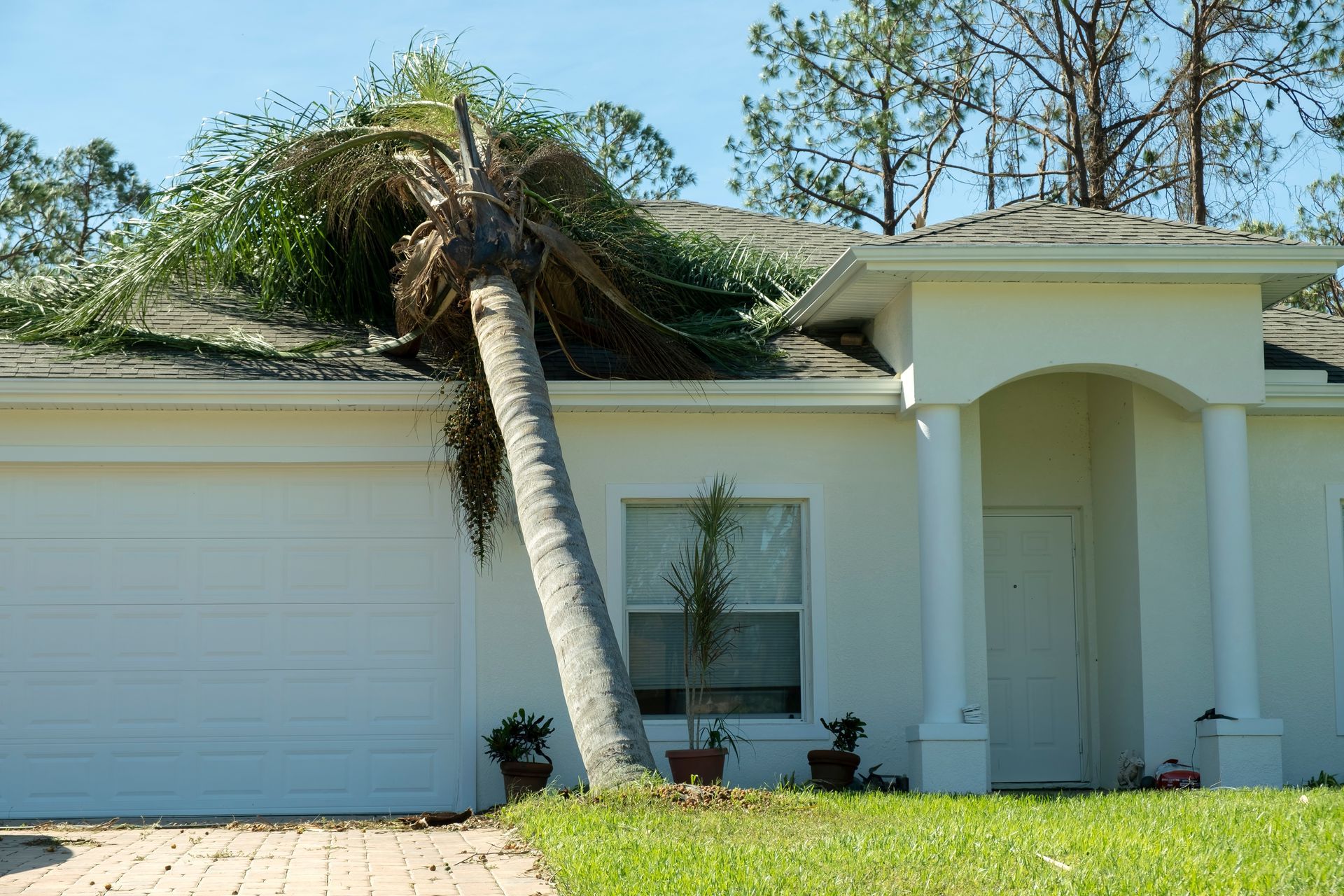 Palm tree fallen on the roof of a white house.