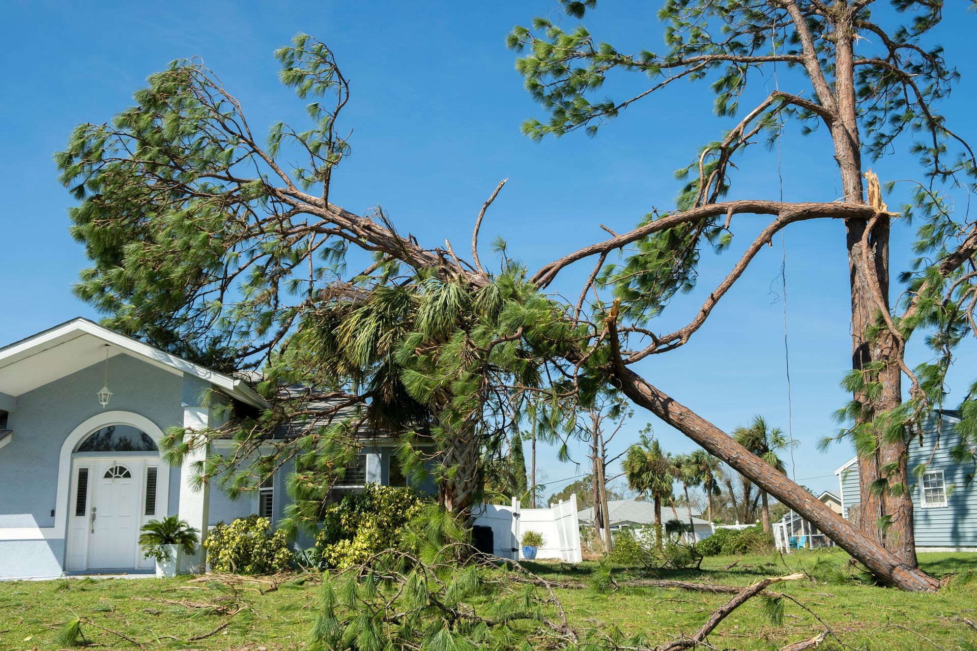 A damaged tree rests on a light blue house after a storm; blue sky.