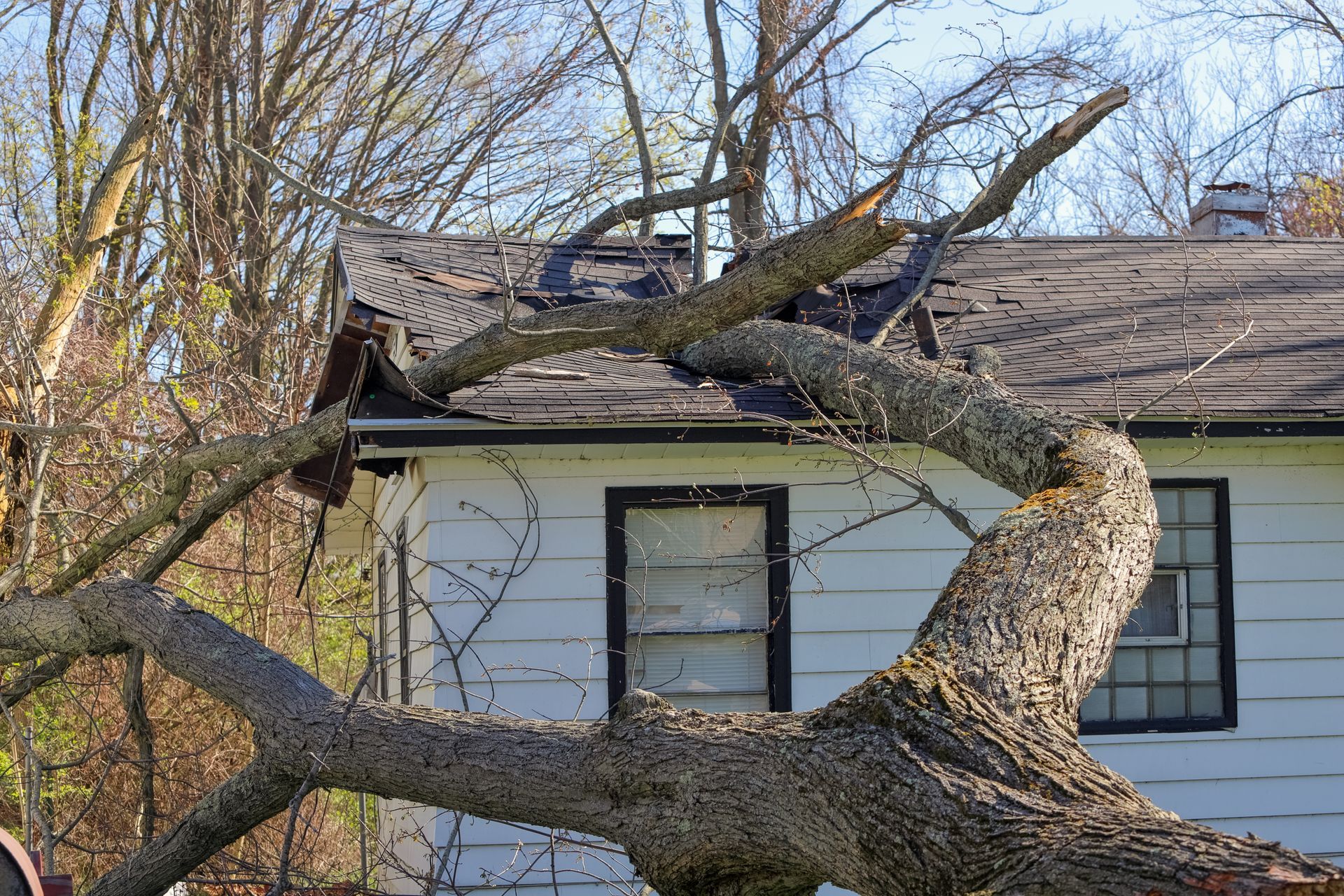 Tree branch fallen on a house roof, damage visible. White siding, black windows.