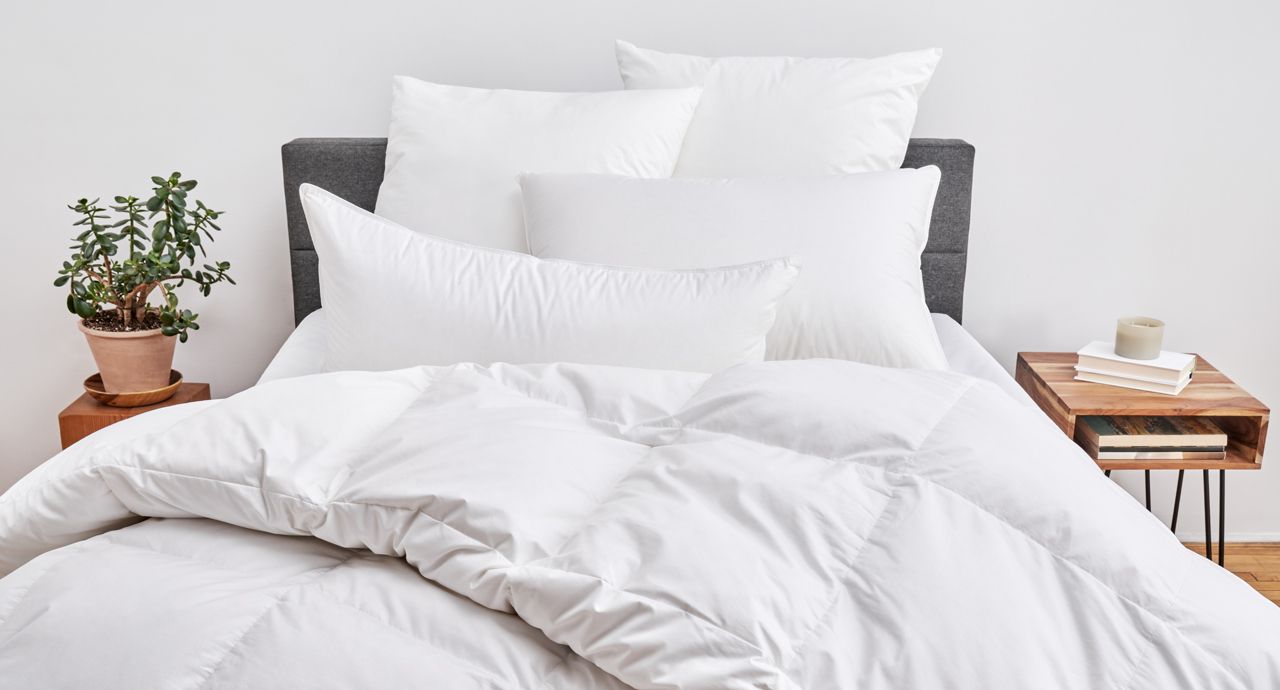A neatly made bed with white pillows and a fluffy white duvet, flanked by a small plant on the left and a side table
