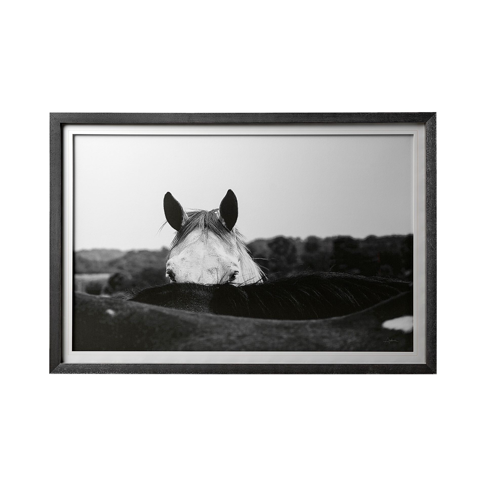 Black and white framed photo of a horse's head peeking over a hill. Forest and field in background.