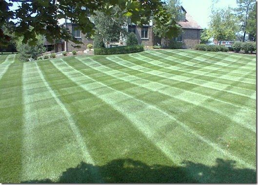 Mowing  —  Medina, OH — Nature's Lawn-N-Shrub
