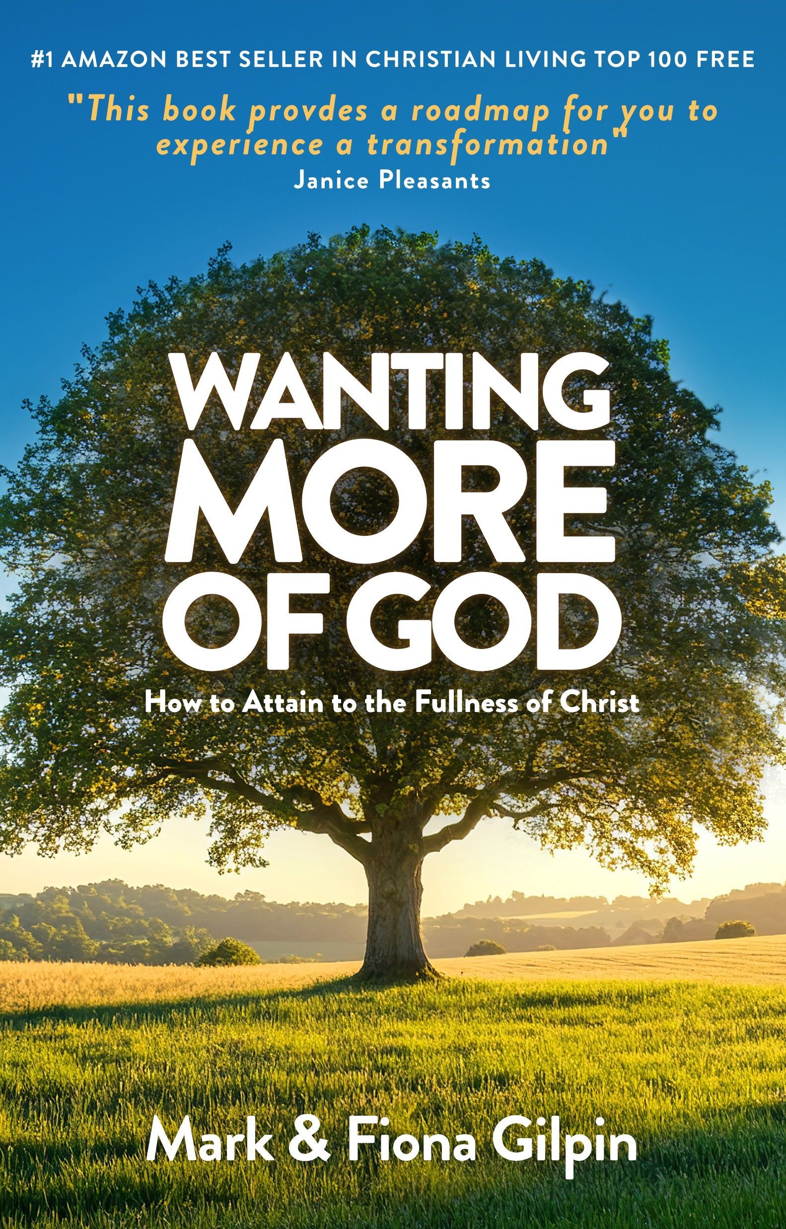 God's Dream Book by Mark & Fiona Gilpin