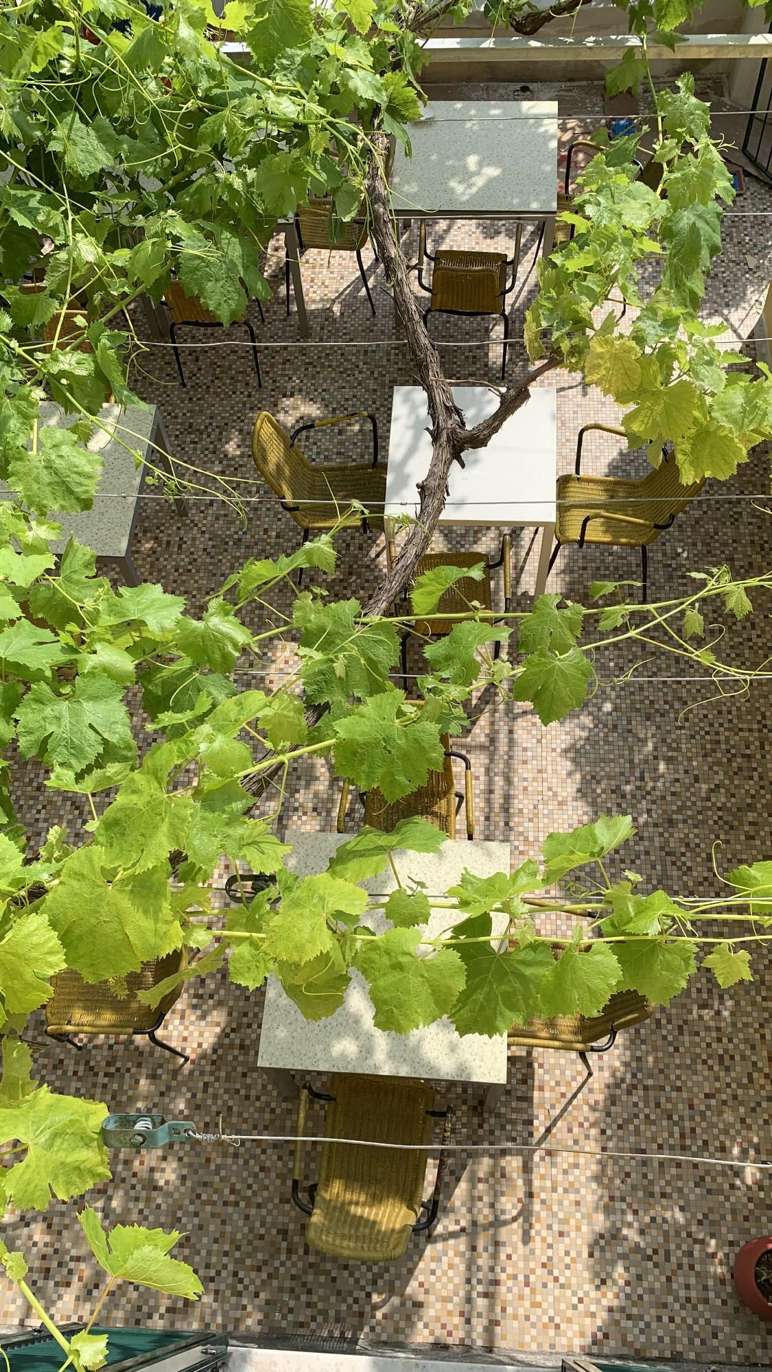 Ristorante il Pilota sul Magra