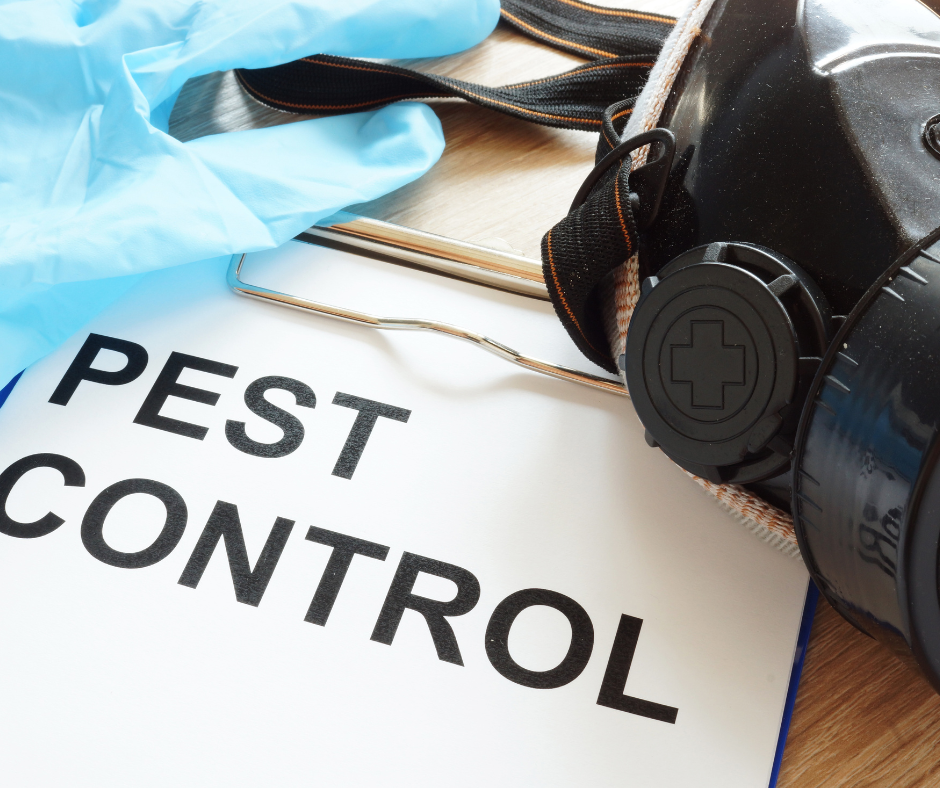 A gas mask is sitting on top of a sign that says pest control