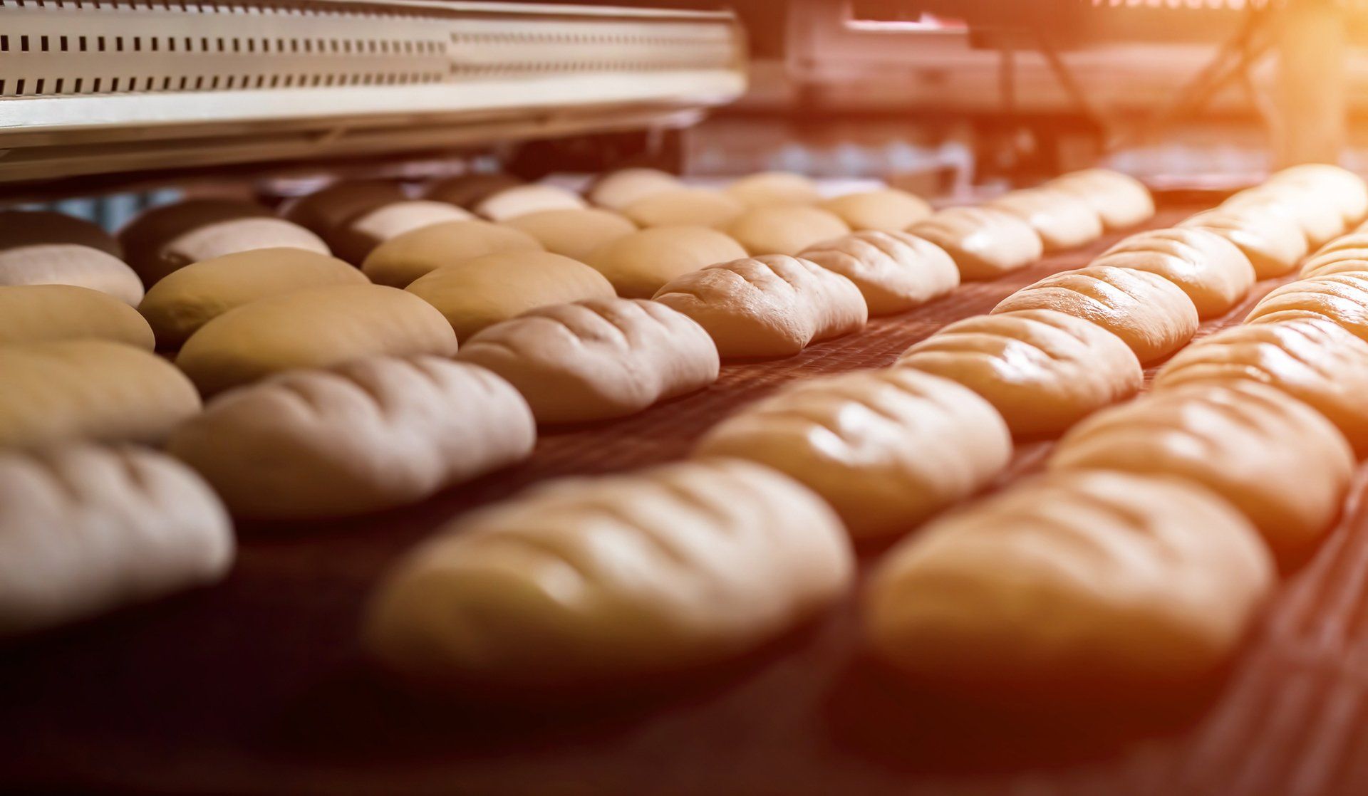 Bread loaves in oven