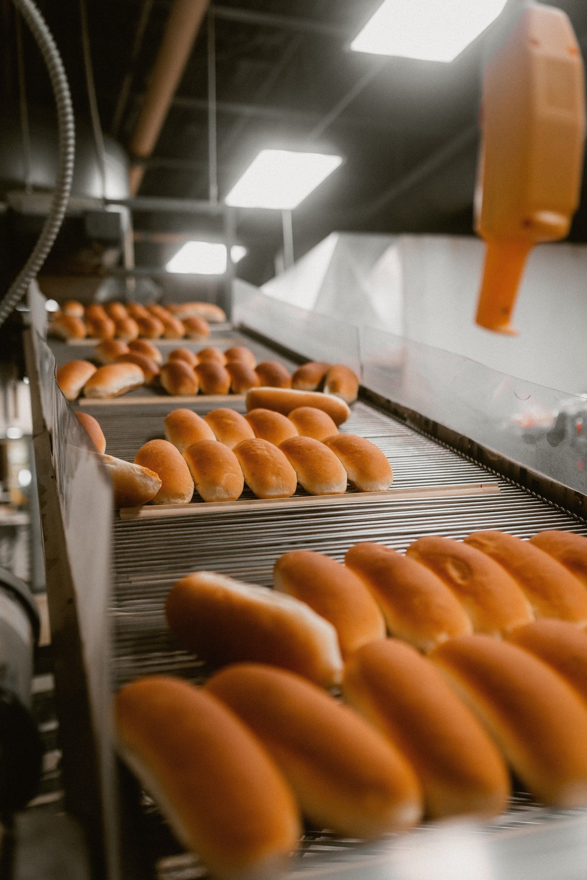 Golden-brown hot dog buns moving along an industrial conveyor belt in a brightly lit bakery.