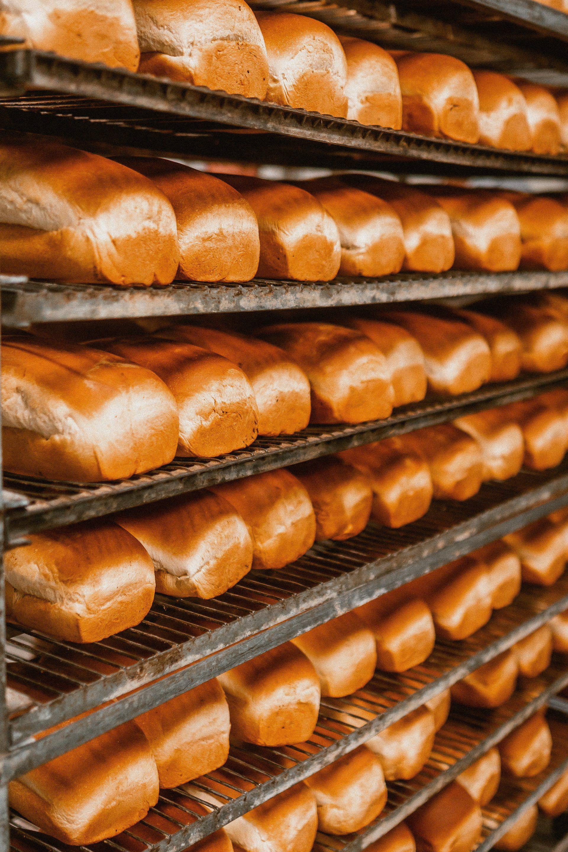 Rows of golden-brown loaves of bread cooling on metal racks in a commercial bakery.
