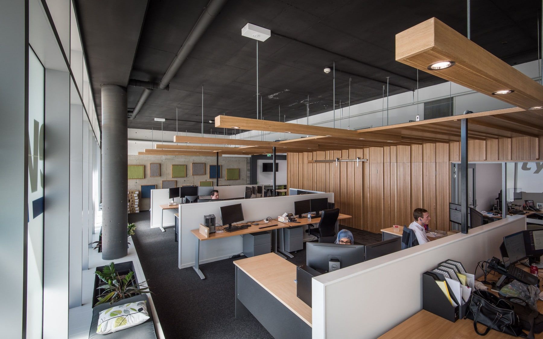Modern Office With Workstations, Wooden Accents, and Natural Light — BOLD Architecture + Interior Design In Mackay, QLD
