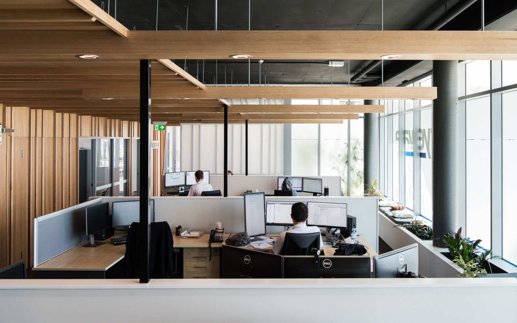 Modern Office Space With Workstations, Natural Light, and Wood Accents — BOLD Architecture + Interior Design In Mackay, QLD