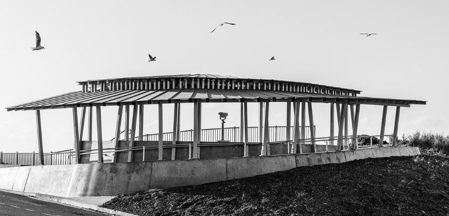 Black and White Photo of a Gazebo With a Sloping Roof. Several Seagulls Fly Overhead — BOLD Architecture + Interior Design In Mackay, QLD