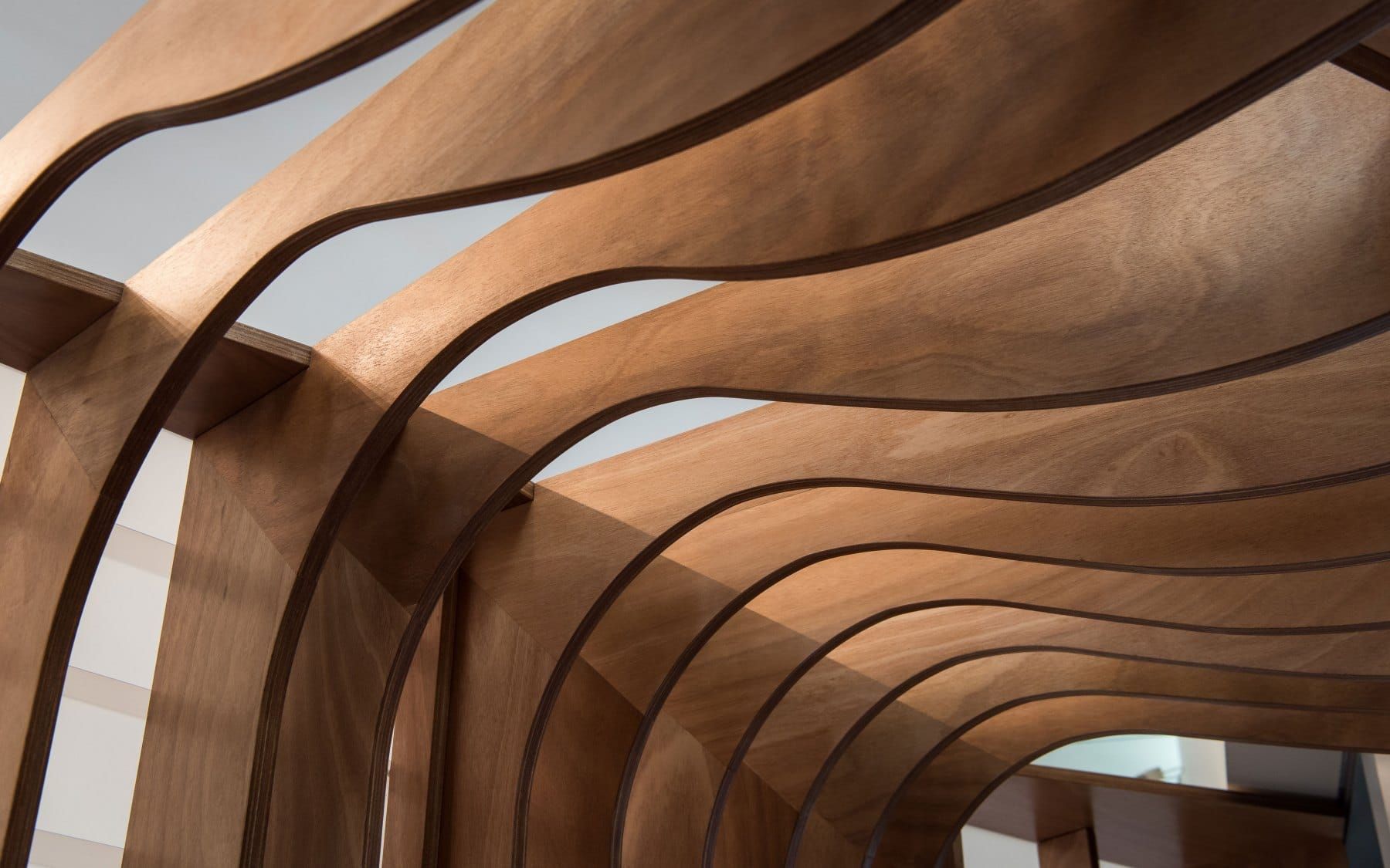 Wooden Curved Architectural Structure With Undulating Lines — BOLD Architecture + Interior Design In Mackay, QLD