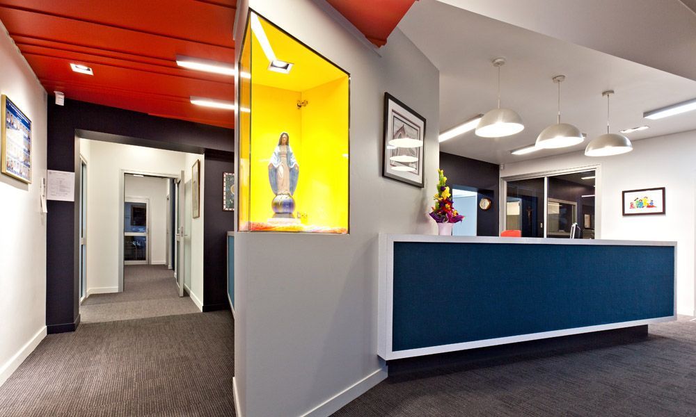 Reception Area With a Blue Desk, a Display Case, and a Hallway — BOLD Architecture + Interior Design In Mackay, QLD
