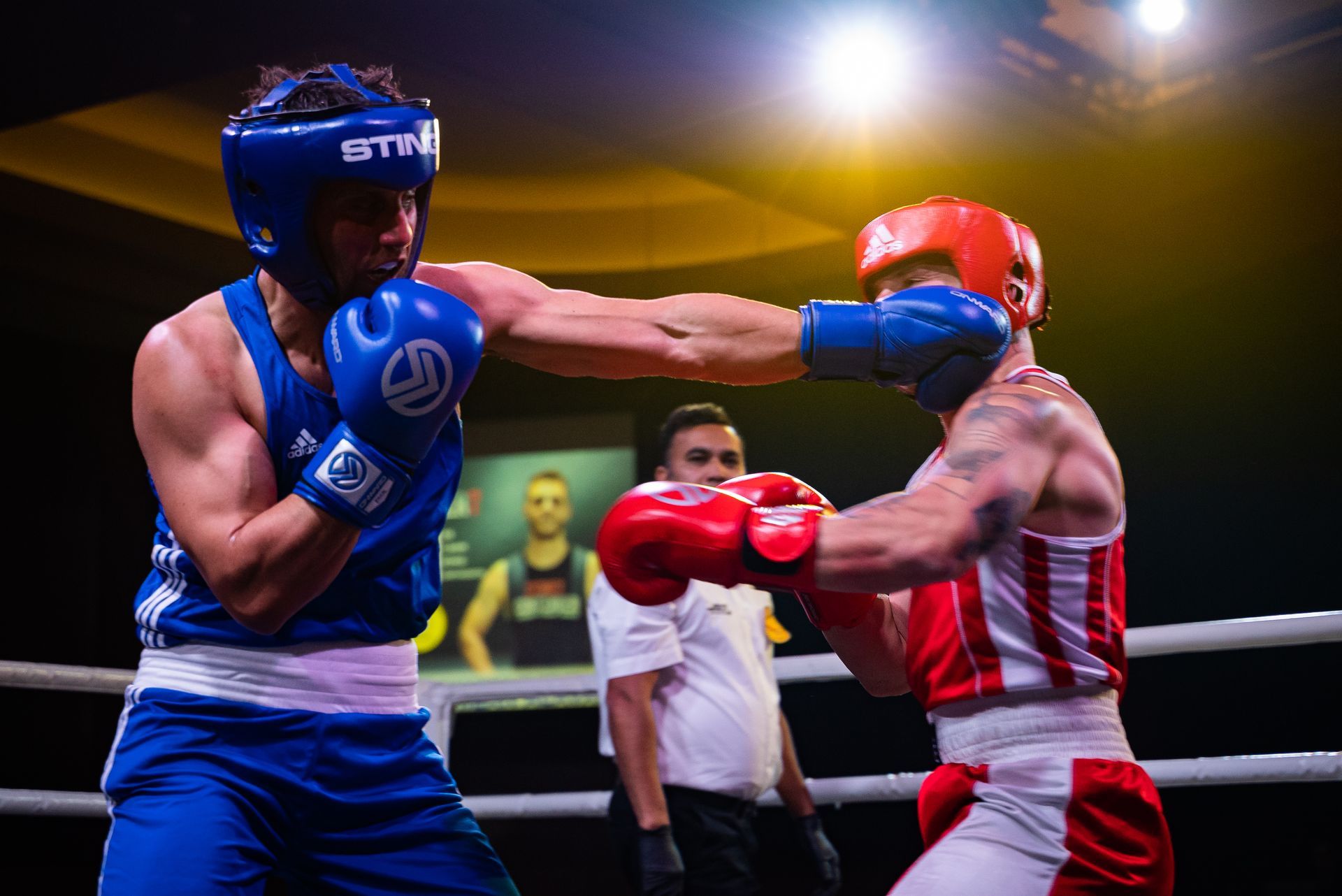 Boxers in blue and red gear exchange punches in a ring, referee watches.
