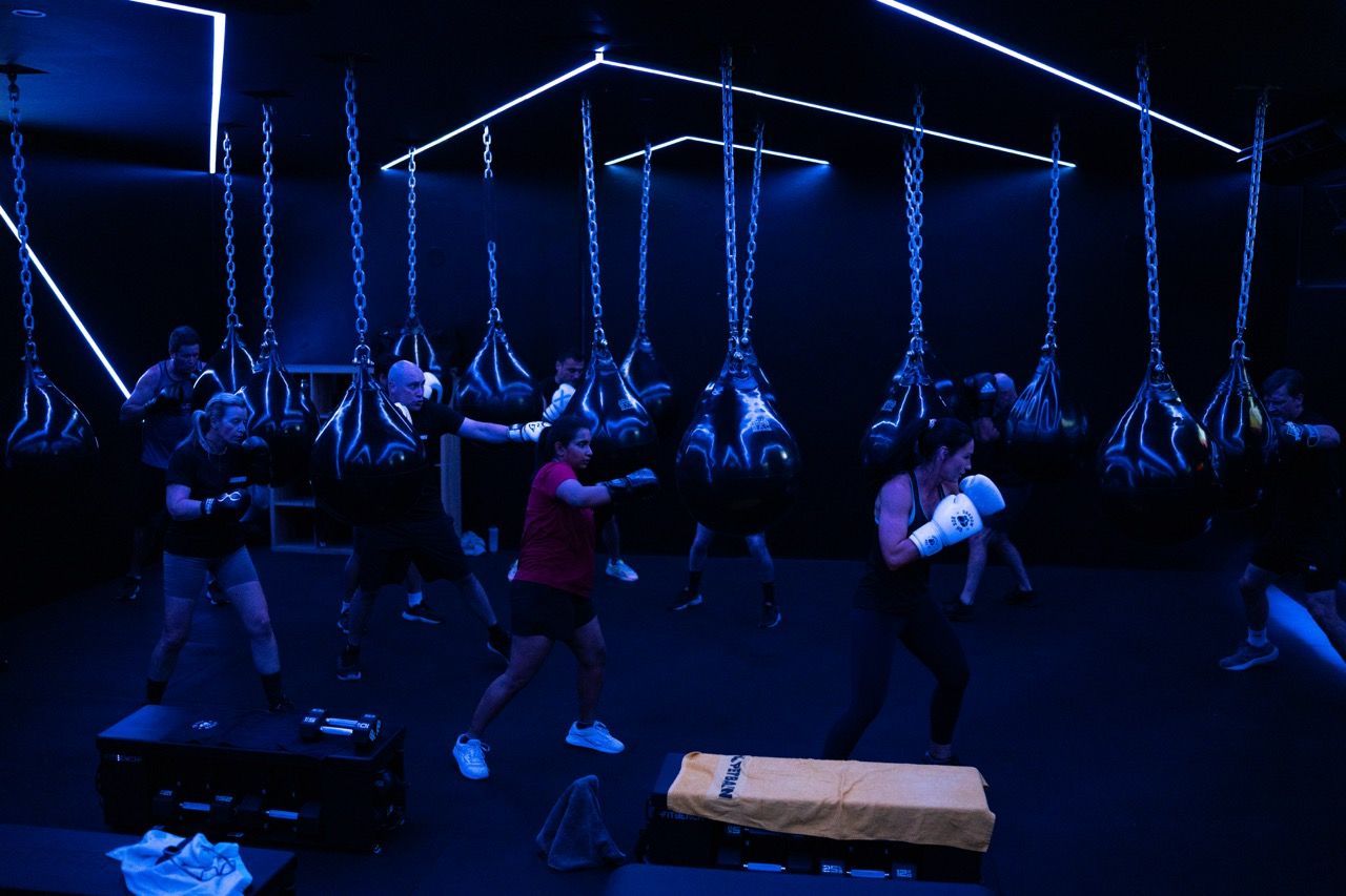 People boxing in a gym with punching bags. Blue lighting highlights the setting.