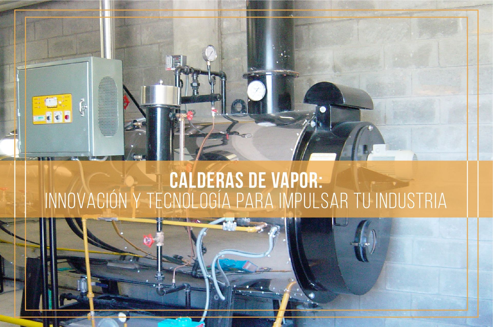 Caldera de vapor Caldera de vapor