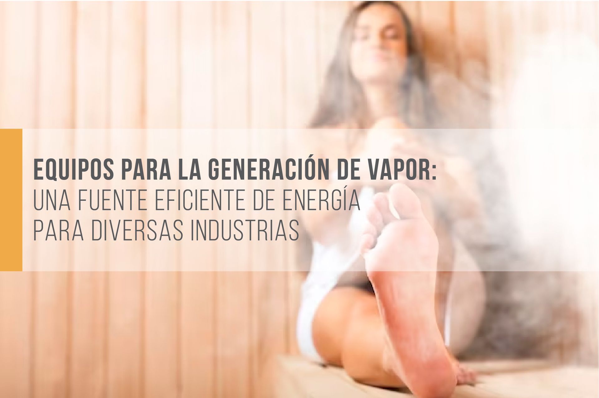 Generación de vapor Generación de vapor