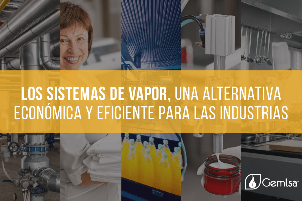 Sistema de vapor Sistema de vapor